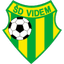 Videm