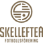 Skelleftea
