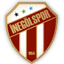 Inegolspor