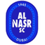 Al Nasr