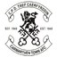 Carmarthen Town