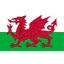 Wales U21
