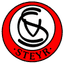 Vorwarts Steyr