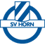 Horn