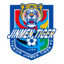 Tianjin Jinmen Tiger