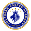 Swarm FC