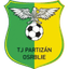 Partizan Osrblie