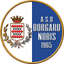 Borgaro