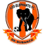 Les Elephants