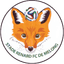 Stade Renard
