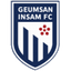 Geumsan Insam