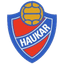 Haukar
