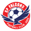 Falcons