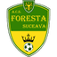 Foresta Suceava