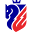 FC Botosani