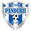 Viitorul Tg. Jiu