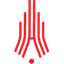 Amkar